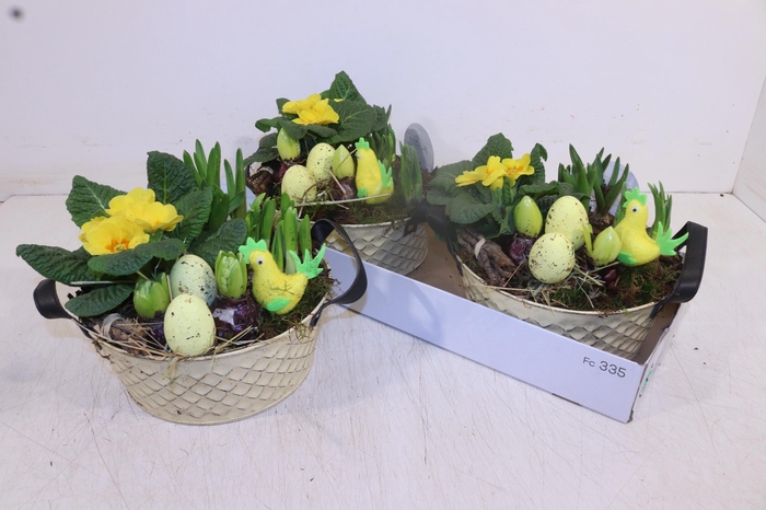 <h4>ARR TUINPLANTEN</h4>