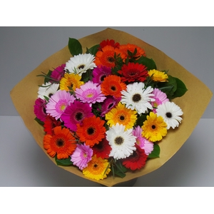 Bouquet Germini Mixed