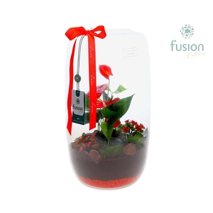 Green Bottle Isabella XXLarge Love met Anthurium