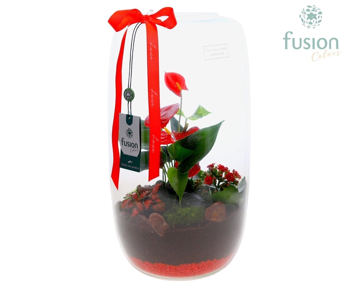 <h4>Green Bottle Isabella XXLarge Love met Anthurium</h4>