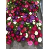 CALLIS MATSUMOTO MIX