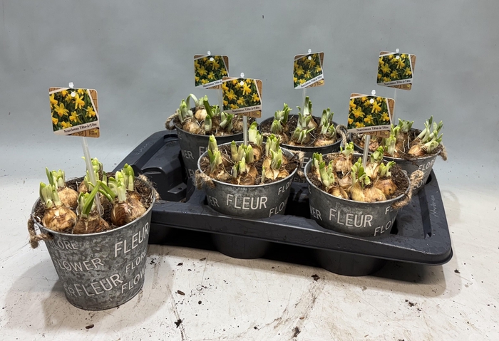 <h4>ARR N TETE A TETE</h4>