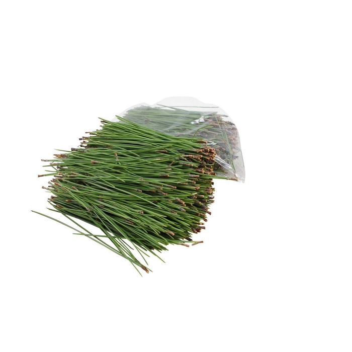 <h4>Kiefer Naalden, Zak, 500gr.</h4>