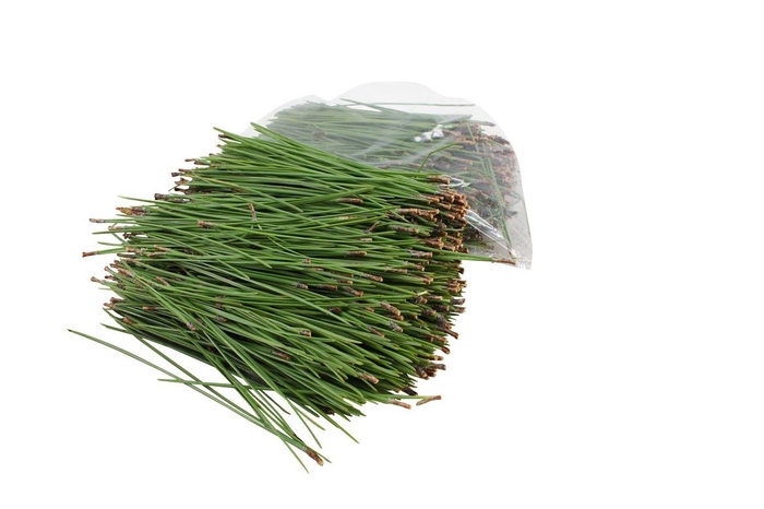 Kiefer Naalden, Zak, 500gr.