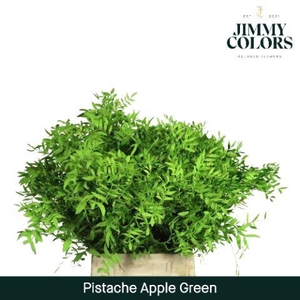 Pistache L45 Apple green