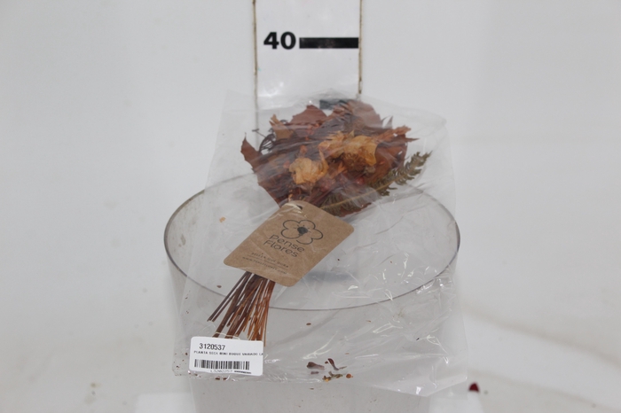 <h4>PLANTA SECA MINI BUQUE VARIADO LARANJA 25 CM</h4>