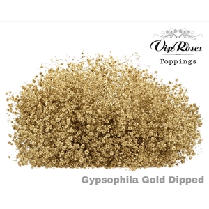 Gyps Pa Dipped Gold