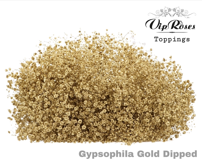 <h4>Gyps Pa Dipped Gold</h4>