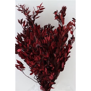 Pres Oak Red 1kg Bunch Poly