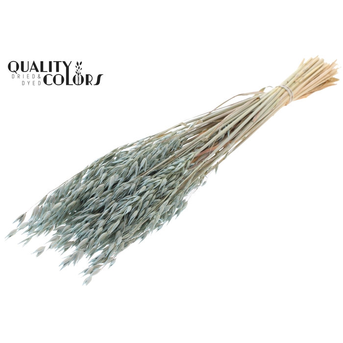 <h4>Avena Premium per bunch Frosted Light Blue</h4>