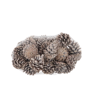 Nature Austrian Pinecone White P/1kg