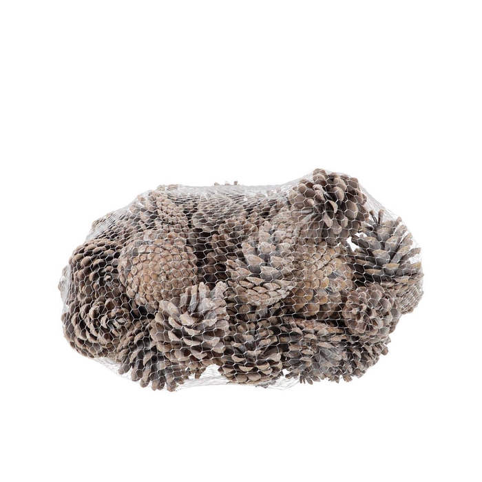 <h4>Nature Austrian Pinecone White P/1kg</h4>