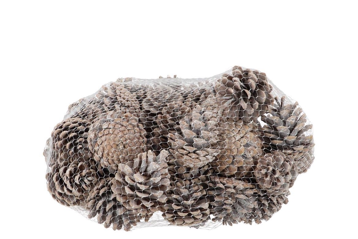 Nature Austrian Pinecone White P/1kg
