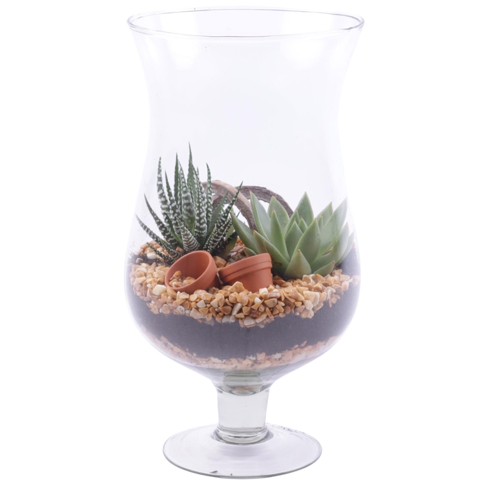 <h4>Yearround Arr. Succulent Glass Cognac Ø17cm 2PP</h4>