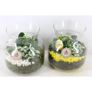 arr2 PL - Glas candy x2 - geel/wit