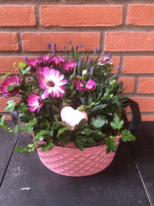 <h4>Arr (7) Zink Rose Rond</h4>