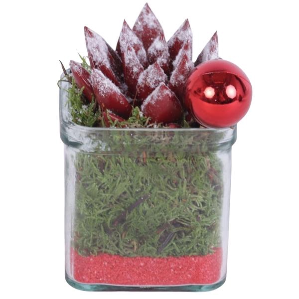 <h4>Christmas Arr. Indoor Accuglas Square Ø08cm 1PP</h4>