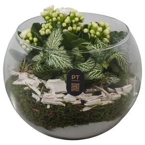 PTHG8215 Arrangement Autumn Glass in glazen vissenkom