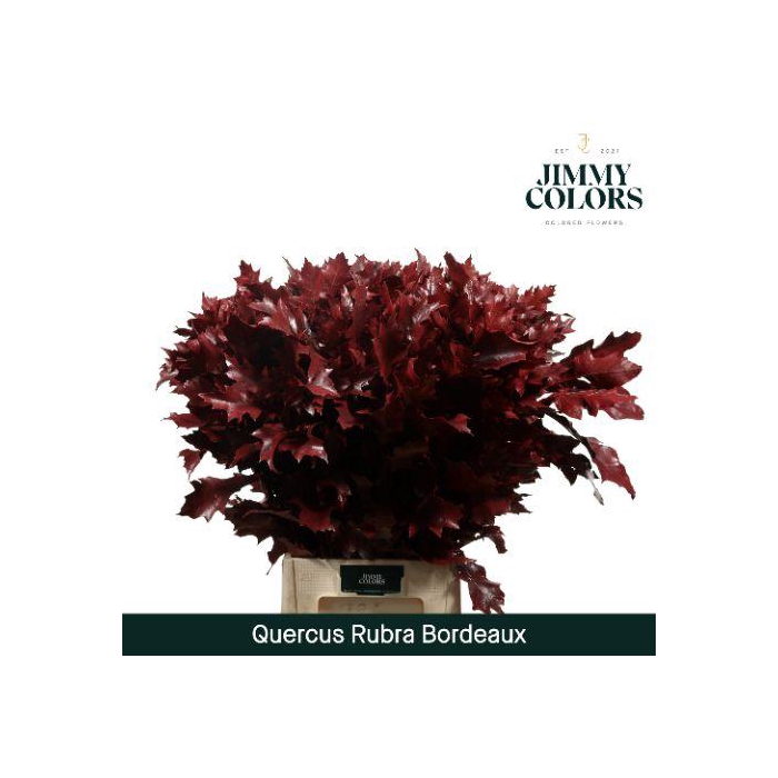 <h4>Quercus Rubra L80 Bordeaux</h4>