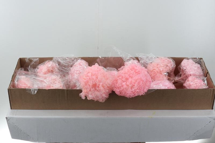 <h4>Hydr Preserved Light Pink Premium</h4>