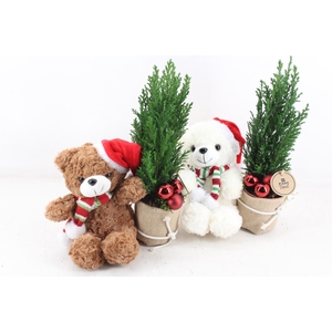 arr2 PL - Kerst beer mix Picea