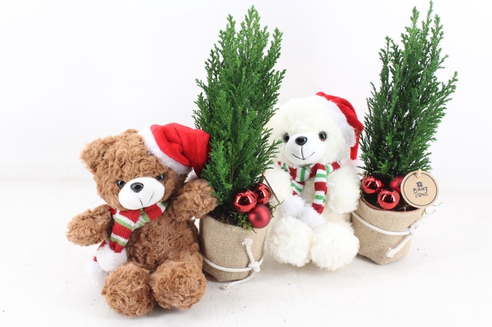 <h4>arr2 PL - Kerst beer mix Picea</h4>