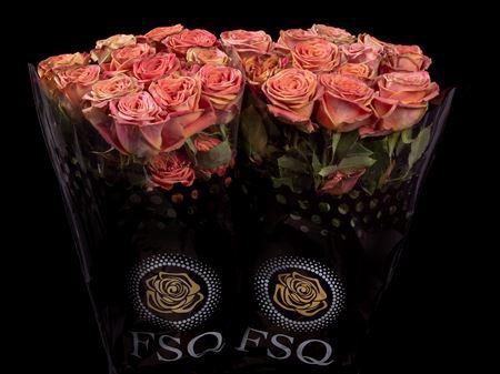 <h4>R Gr Funky Soul</h4>