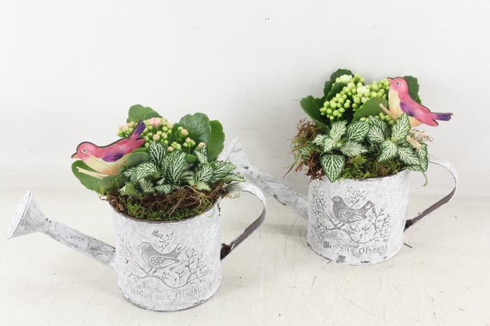 <h4>arr2 TD - Zink gieter - roze/wit</h4>