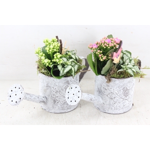 arr2 TD - Zink gieter - roze/wit