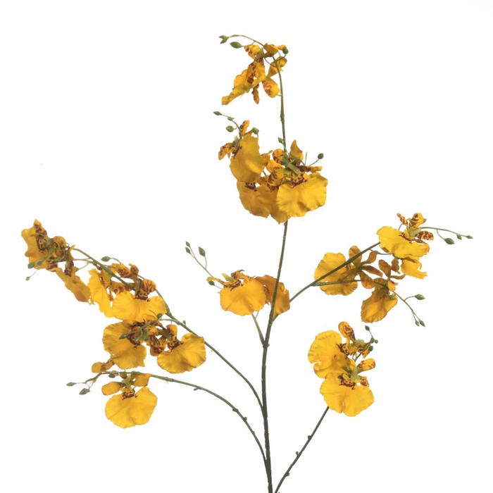 <h4>Af Orchid Oncidium 91cm Yellow</h4>