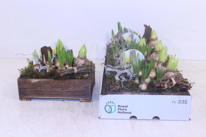 <h4>ARR BOL KNOLGEWAS</h4>