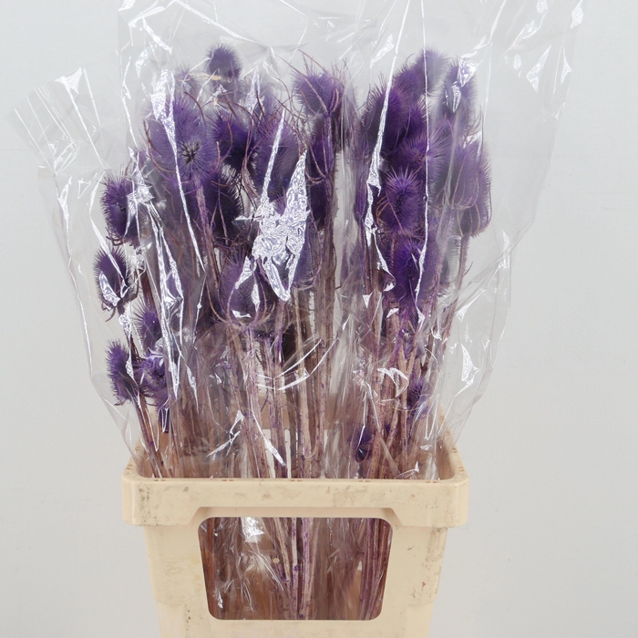 <h4>DROOGBL BEWERKT H%</h4>