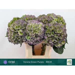 HYDR M CH VERE BL CL