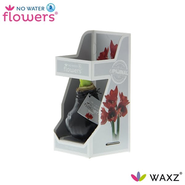 <h4>No Water Flowers Waxz® Black in Gift Box</h4>