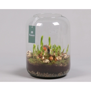 Green Bottle Isabella XLarge Pasen met Narcissen