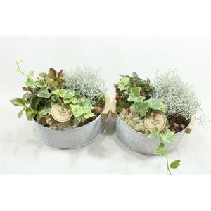 2725 ZINKSCHAAL HANDVAT AMAR