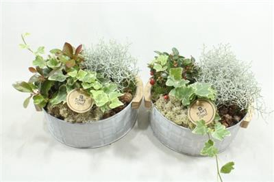 <h4>2725 ZINKSCHAAL HANDVAT AMAR</h4>