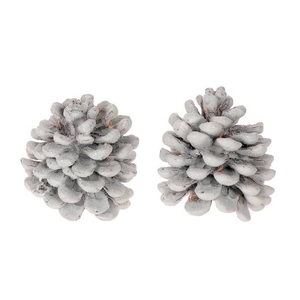 Pinecone Pinea Wax Sugared 2 Pcs Slv L19W12H14