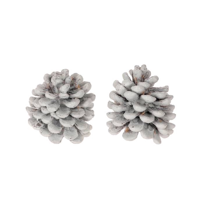 <h4>Pinecone Pinea Wax Sugared 2 Pcs Slv L19W12H14</h4>