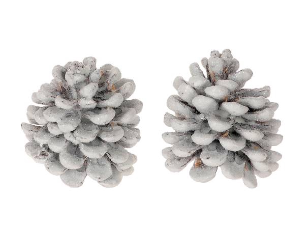 Pinecone Pinea Wax Sugared 2 Pcs Slv L19W12H14