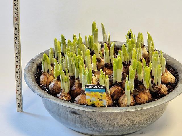 <h4>ARR N TETE A TETE</h4>