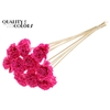 Shola Karnish Flower 6cm on stem Wax Cerise