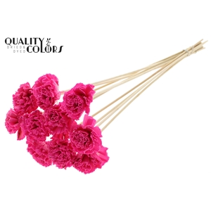 Shola Karnish Flower 6cm on stem Wax Cerise