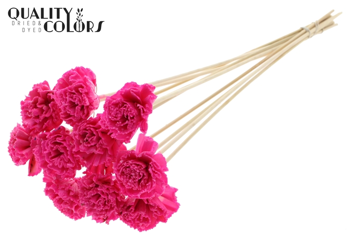 <h4>Shola Karnish Flower 6cm on stem Wax Cerise</h4>