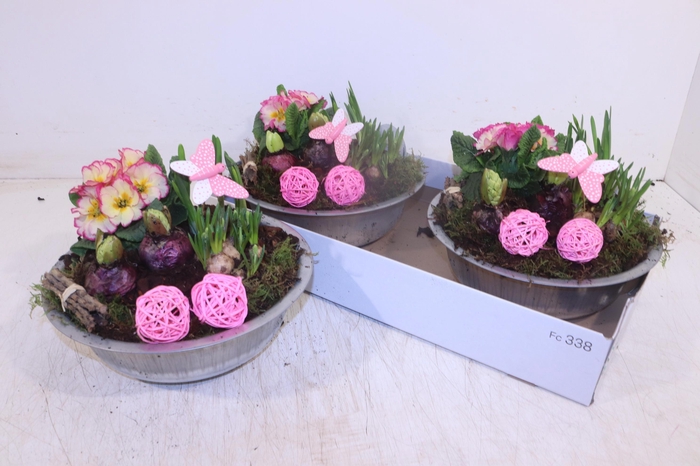 <h4>ARR TUINPLANTEN</h4>