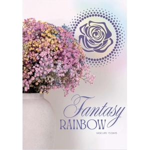 Gyps Xlence Fantasy Rainbow X25 40gr