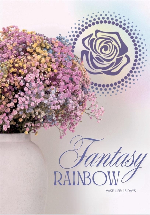 <h4>Gyps Xlence Fantasy Rainbow X25 40gr</h4>