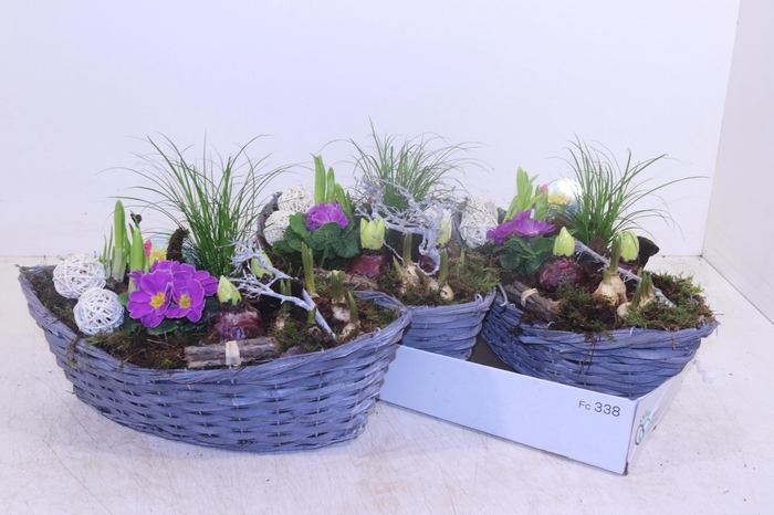 <h4>ARR TUINPLANTEN</h4>