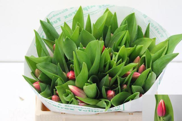 <h4>TU EN OUTFIT</h4>