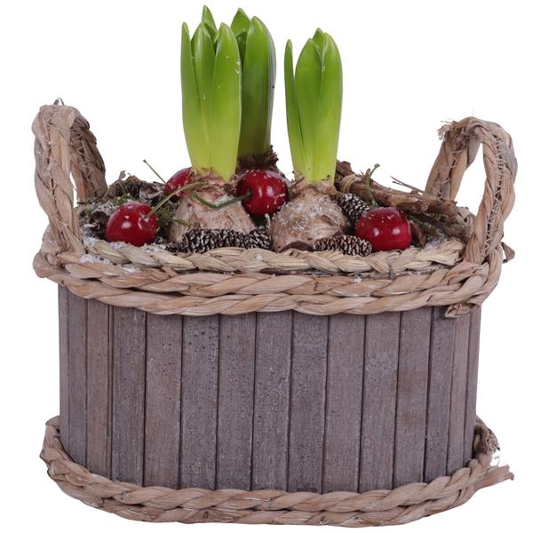 <h4>Winter Arr. Hyacint Wooden Pot Oval Waterhyacint Rim Ø22cm 3PP</h4>
